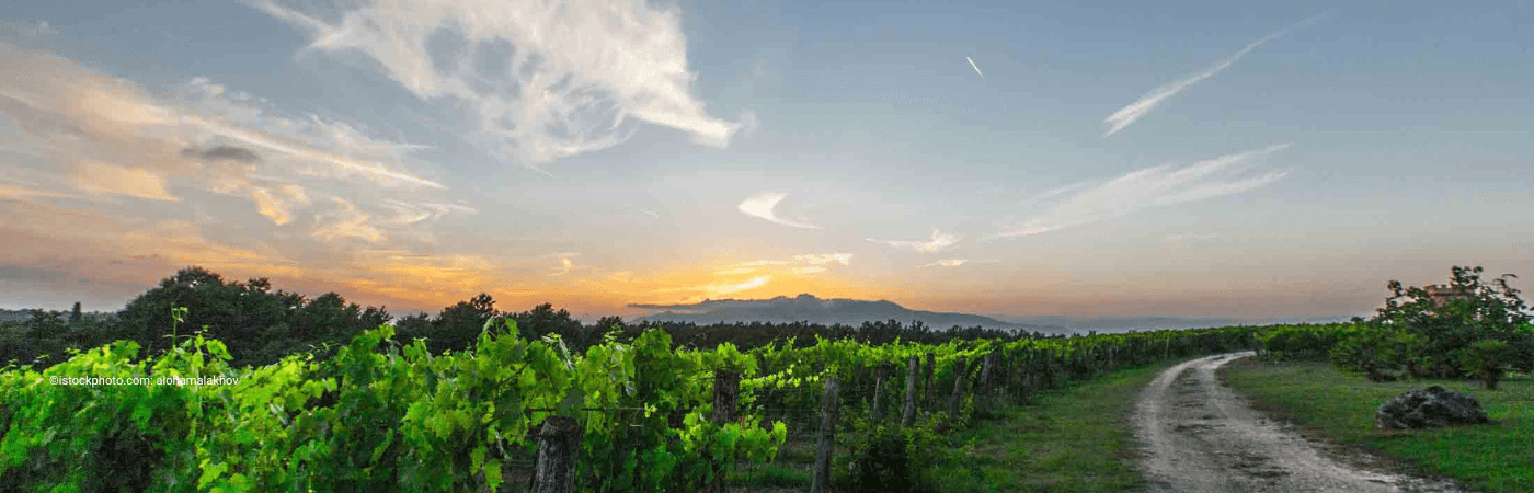 weinproben