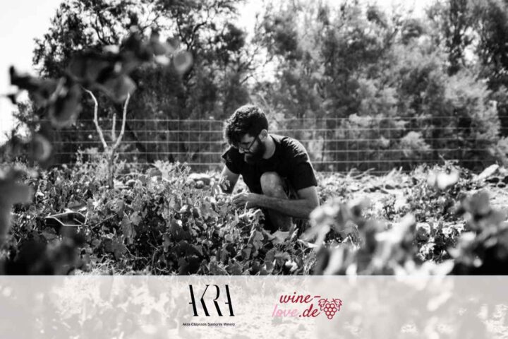 Akra Chryssos Winery